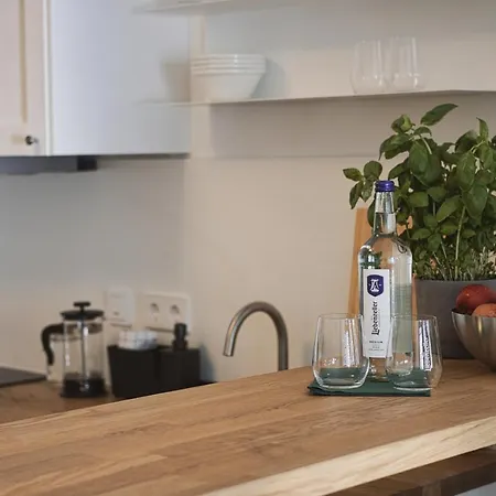 Palmbraeu Altstadt Appartments Hotel *