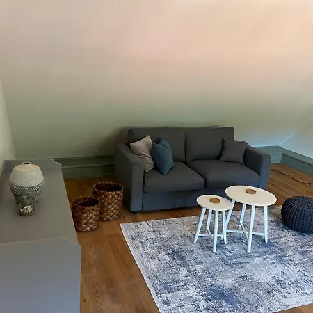 Palmbraeu Altstadt Appartments * Heidelberg