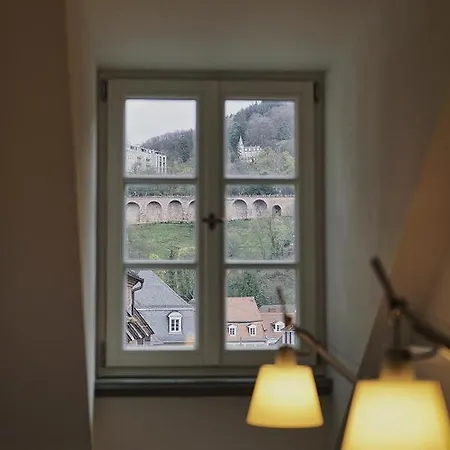 Hotel Palmbraeu Altstadt Appartments