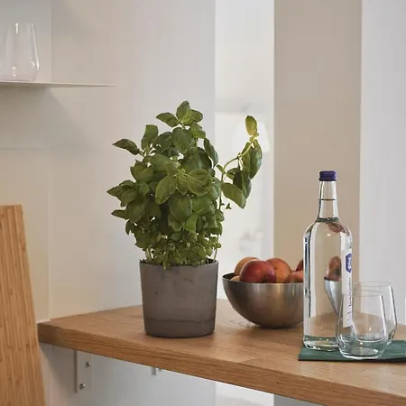 Palmbraeu Altstadt Appartments * ハイデルベルク