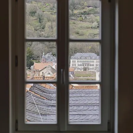 ホテル Palmbraeu Altstadt Appartments