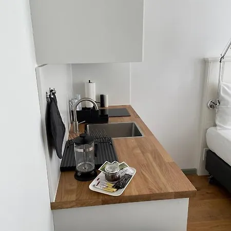 ホテル Palmbraeu Altstadt Appartments ハイデルベルク