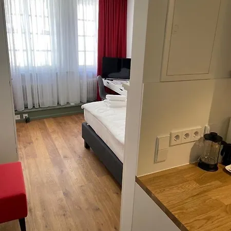 Palmbraeu Altstadt Appartments ハイデルベルク