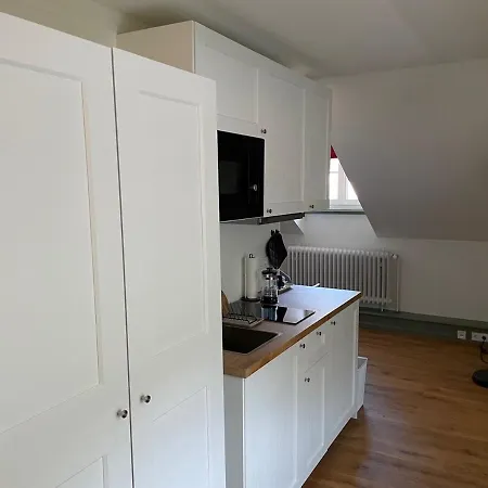 Palmbraeu Altstadt Appartments ホテル ハイデルベルク