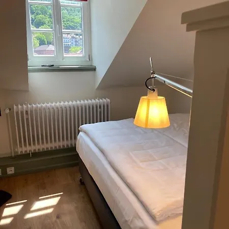 فندق Palmbraeu Altstadt Appartments هايدلبرغ
